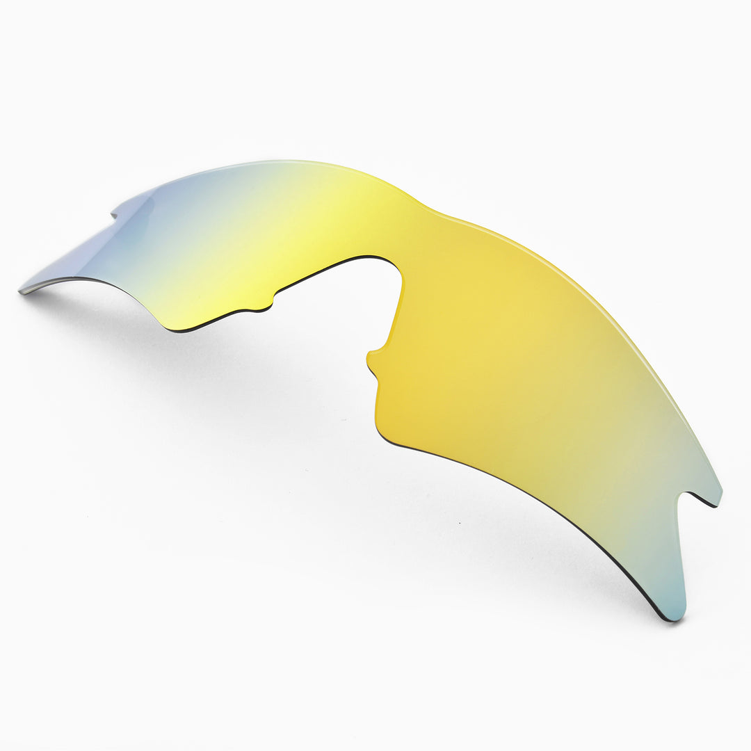 24K Gold Polarized