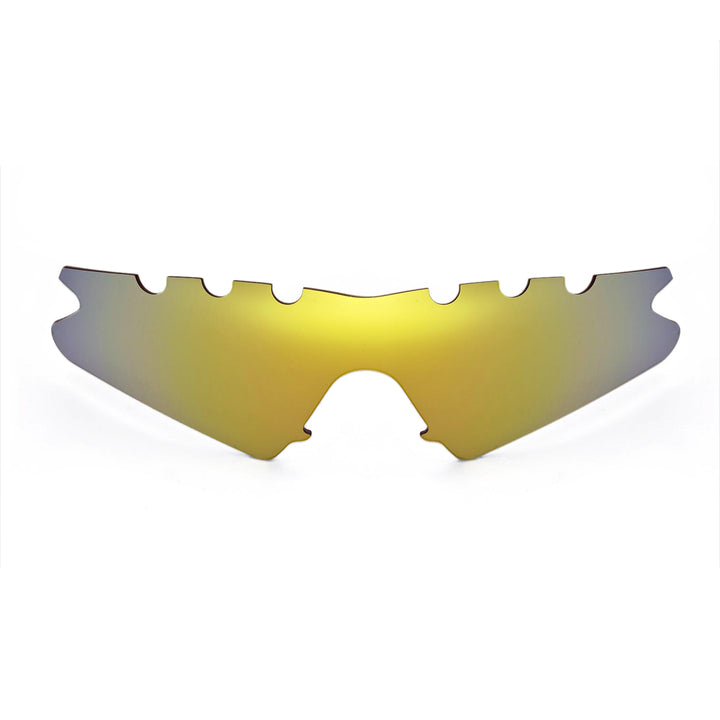 24K Gold Polarized