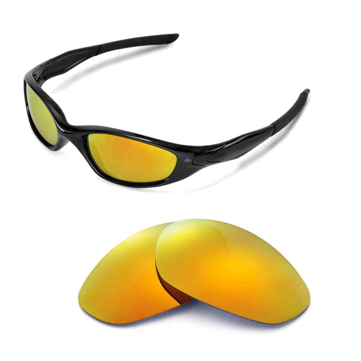 24K Gold Polarized
