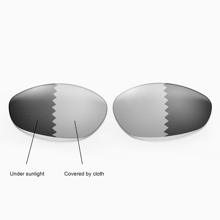 Transition Polarized