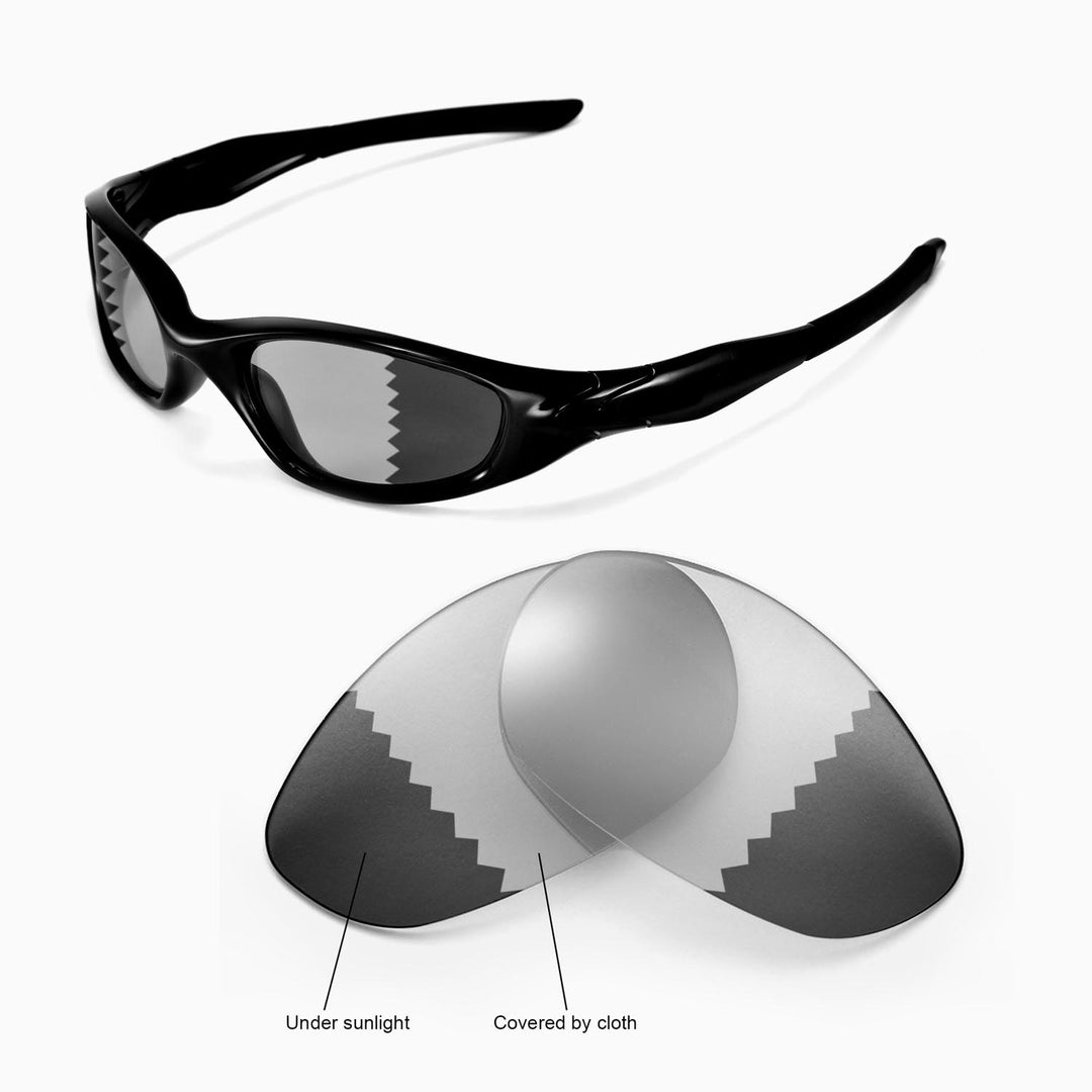 Transition Polarized