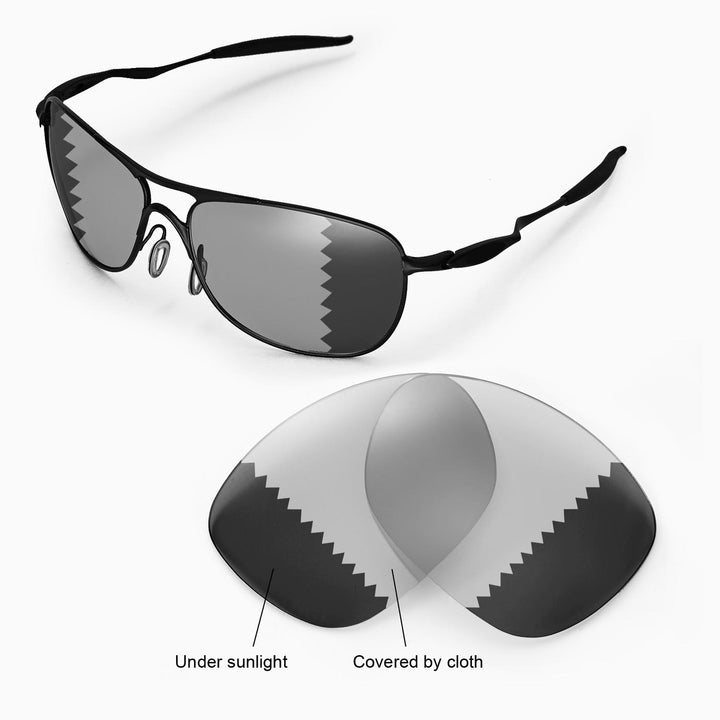 Transition Polarized