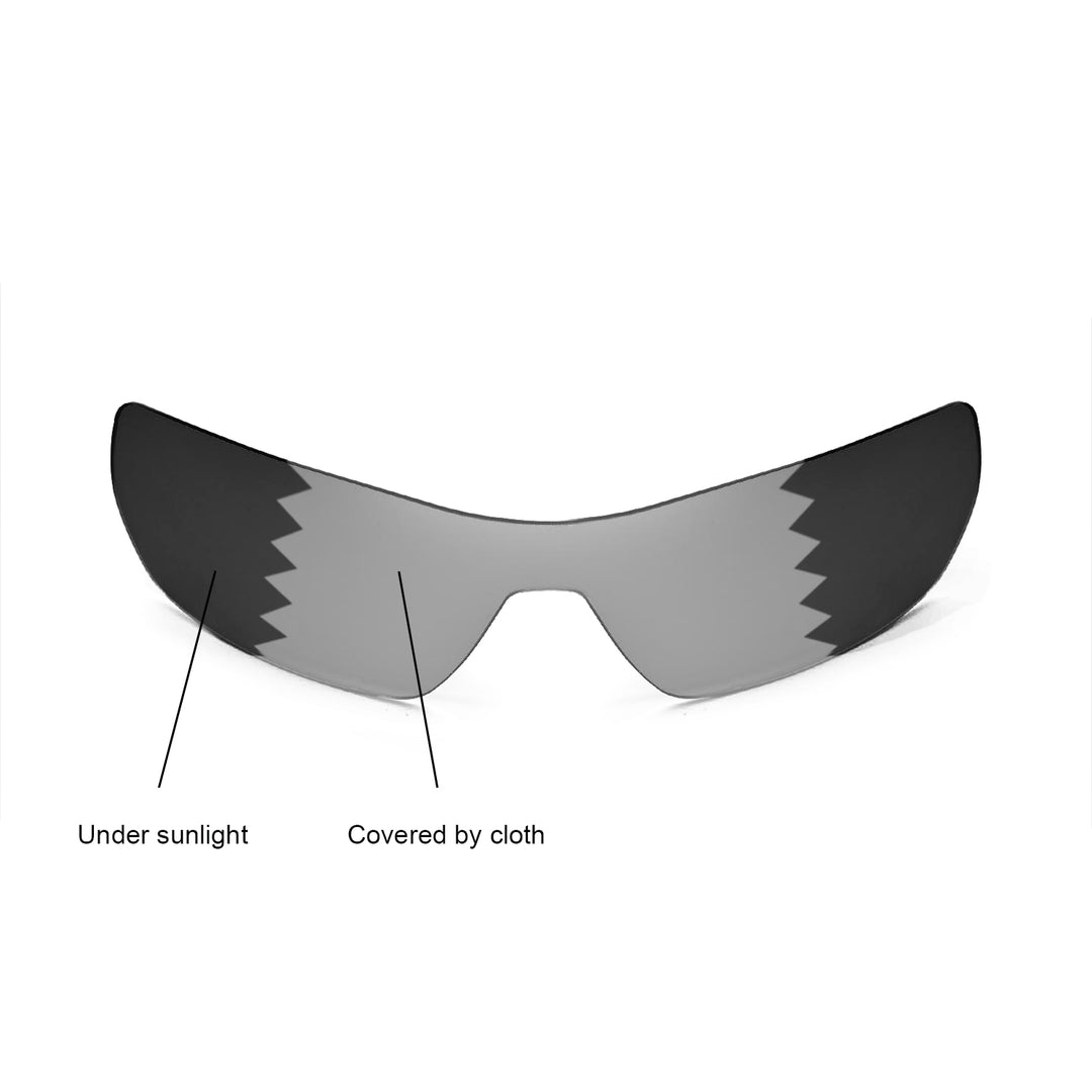 Transition Polarized