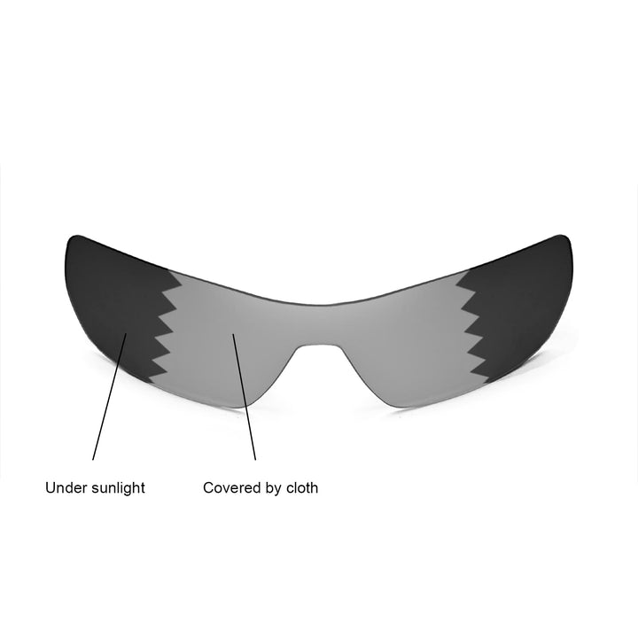 Transition Polarized