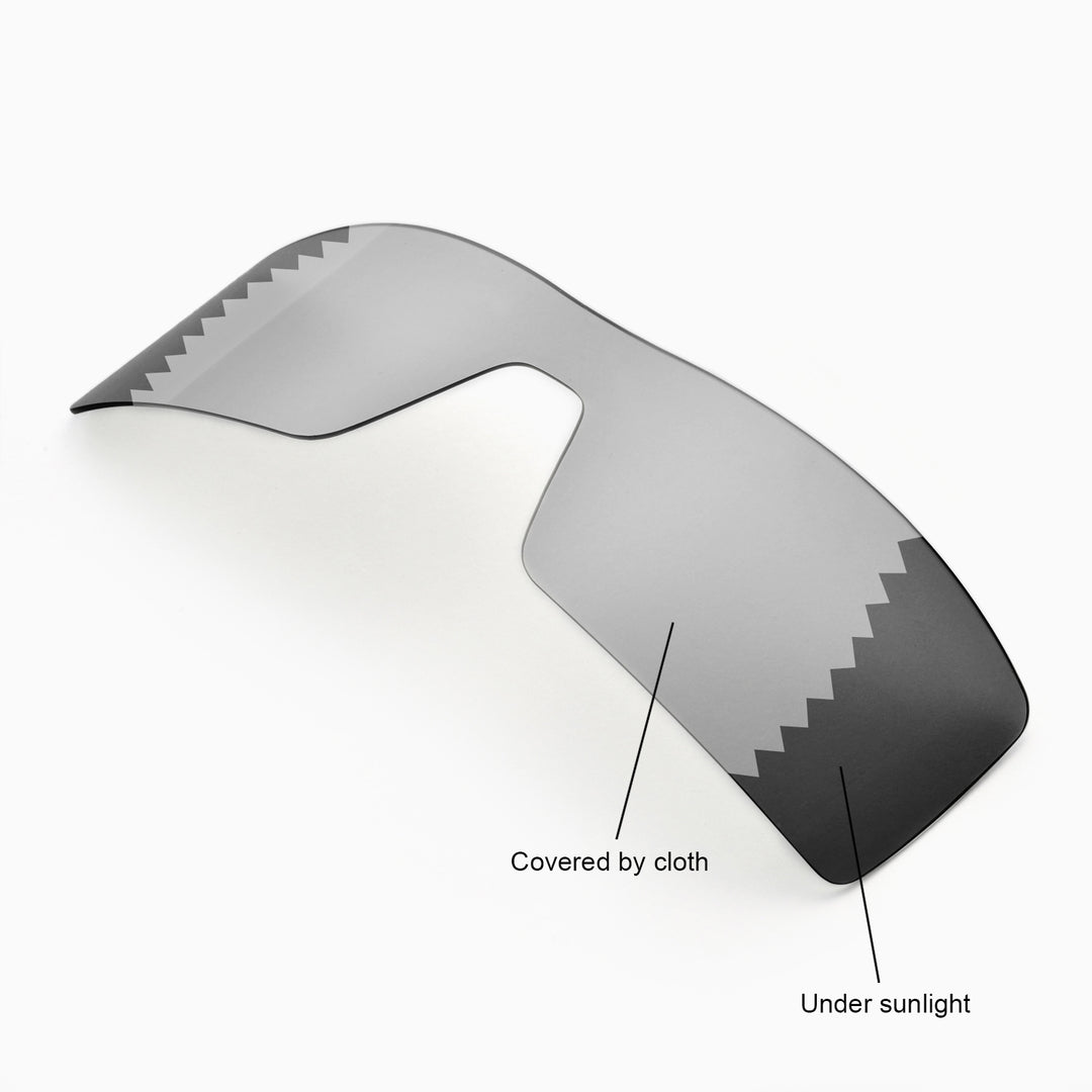 Transition Polarized