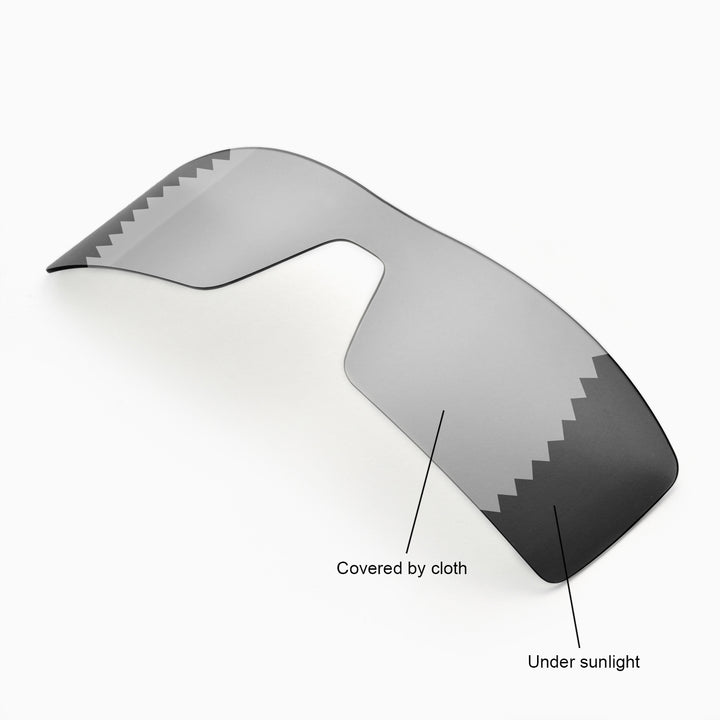 Transition Polarized
