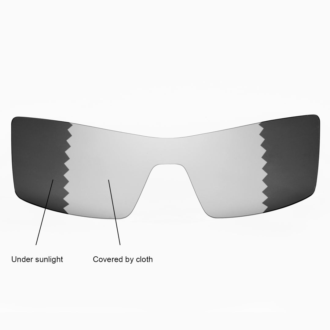 Transition Polarized