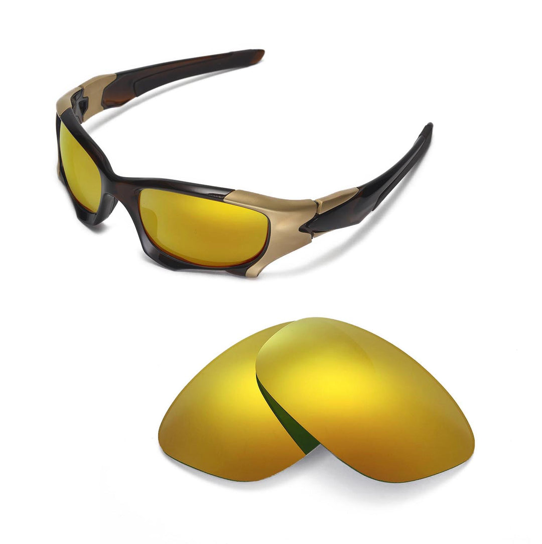 24K Gold Polarized
