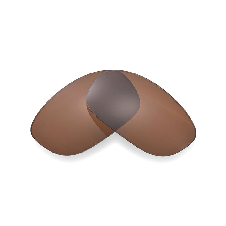 Brown Polarized