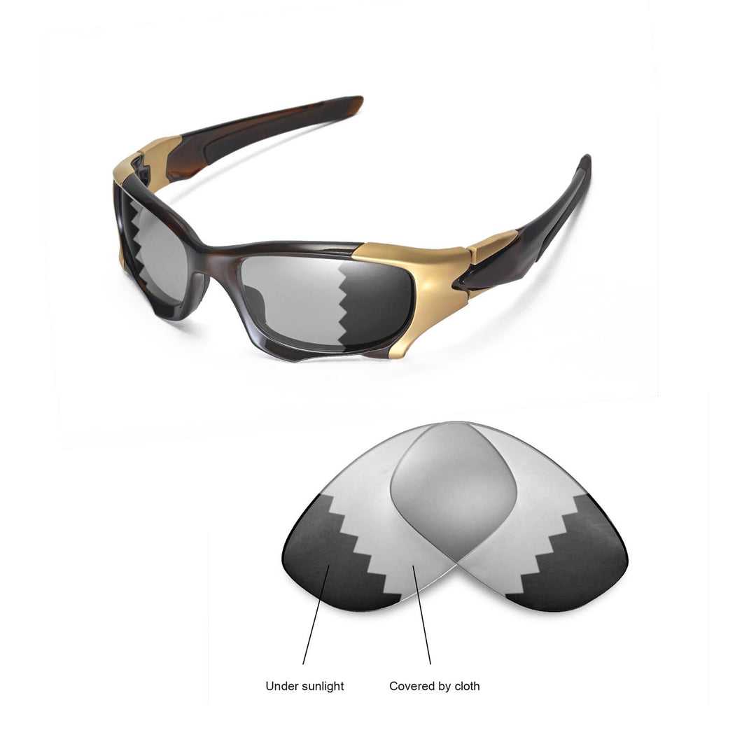 Transition Polarized