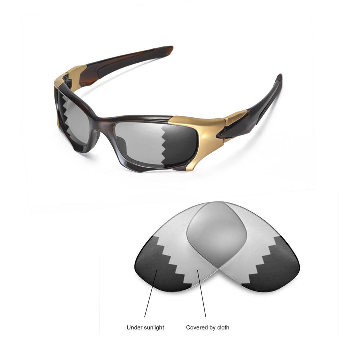 Transition Polarized