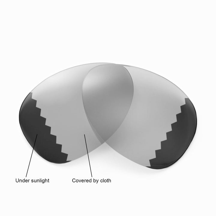 Transition Polarized