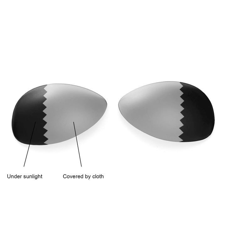 Transition Polarized