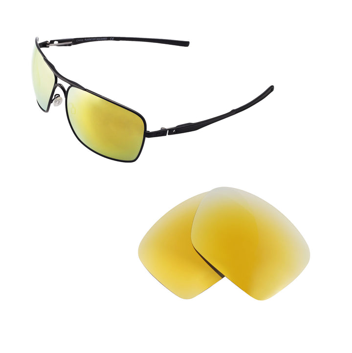 24K Gold Polarized