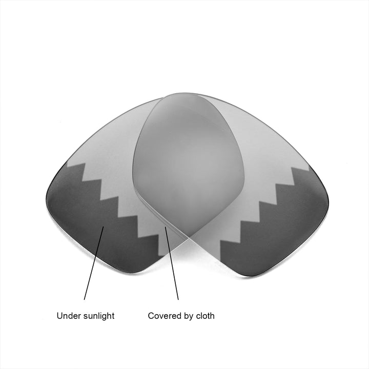 Transition Polarized