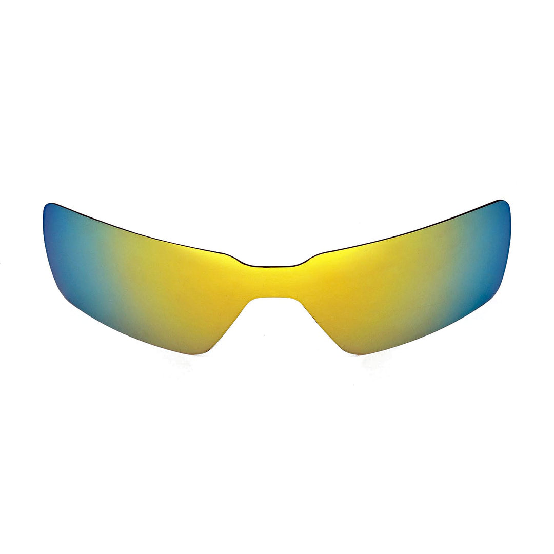 24K Gold Polarized