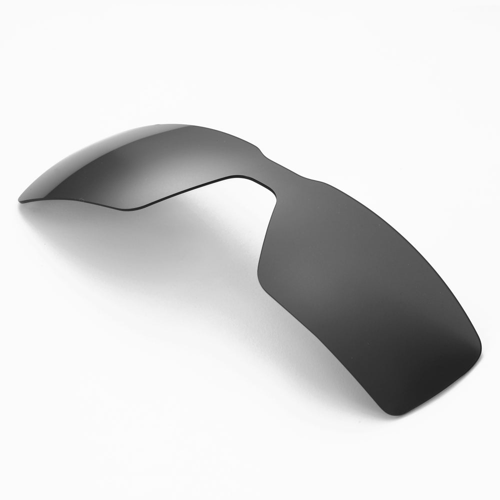 Black Polarized#color_black