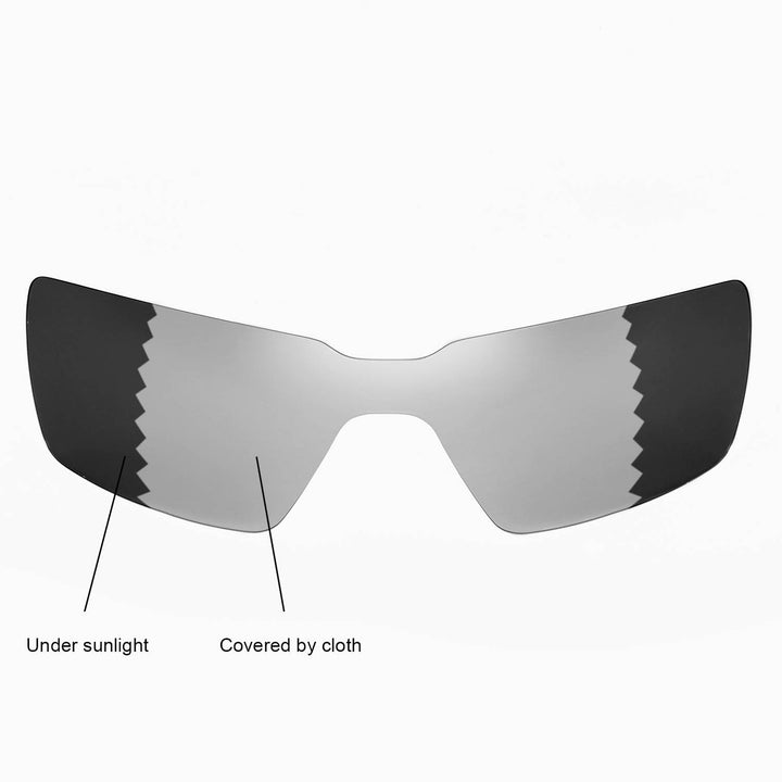 Transition Polarized