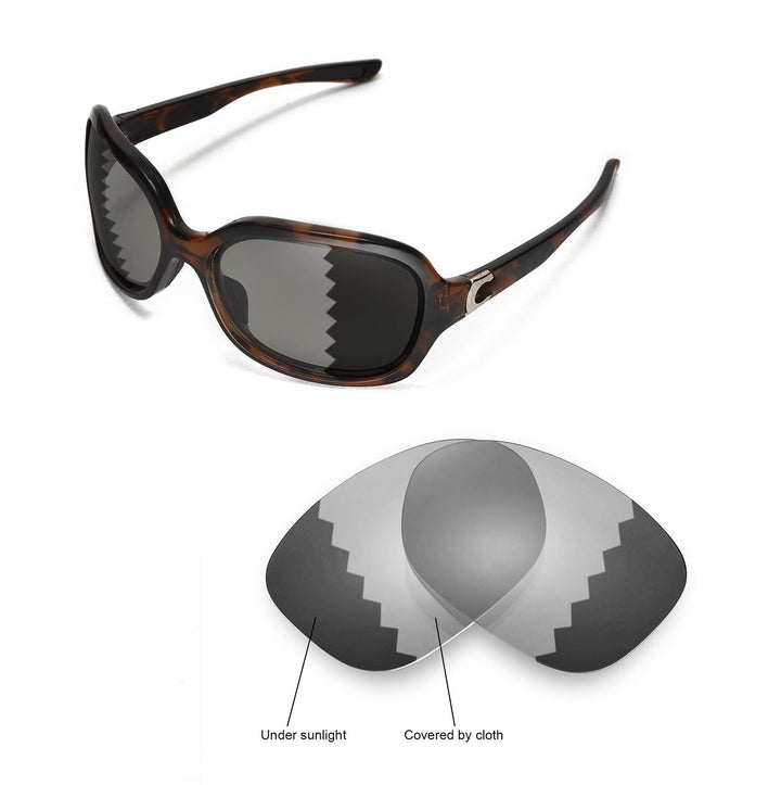 Transition Polarized