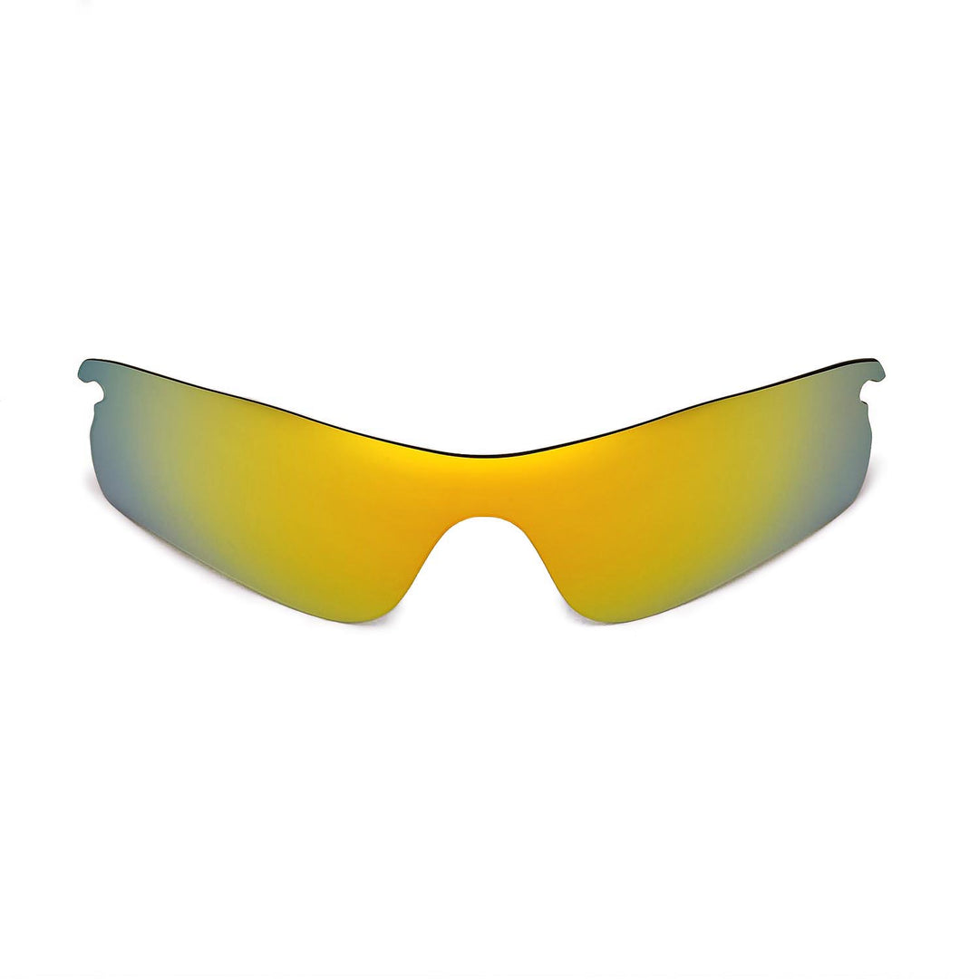 24K Gold Polarized