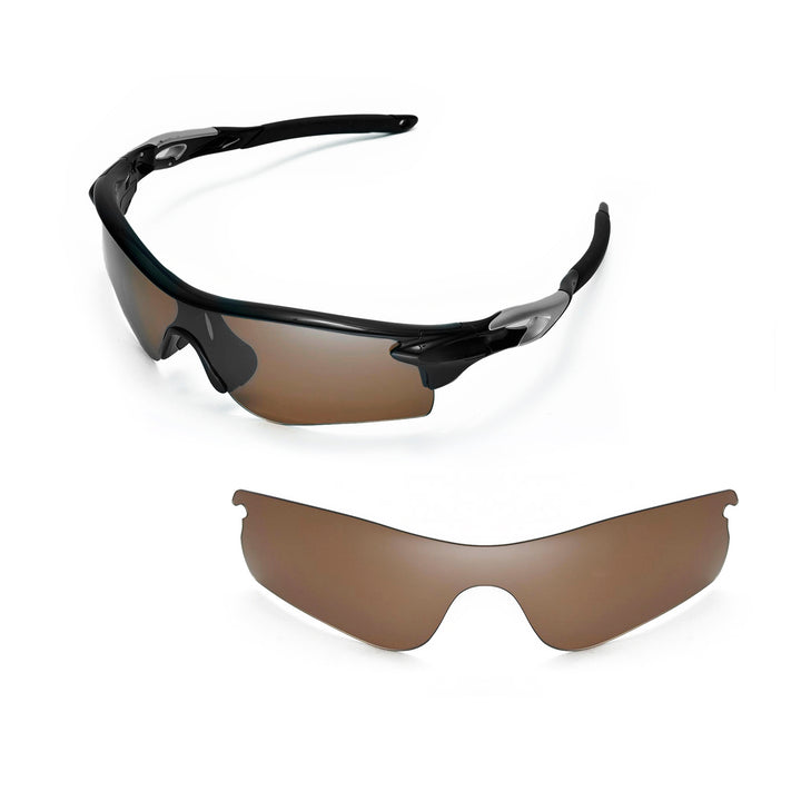Brown Polarized