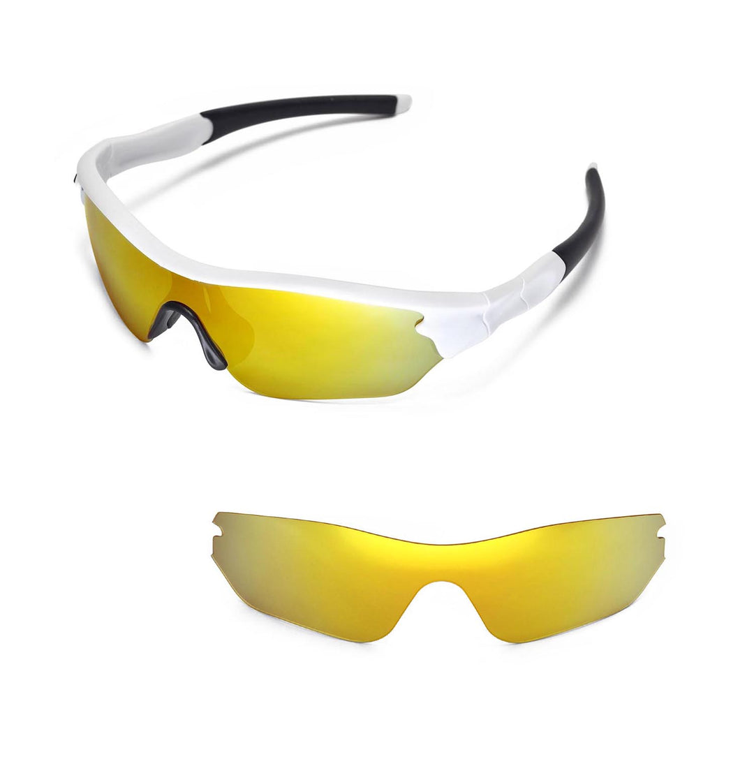 24K Gold Polarized