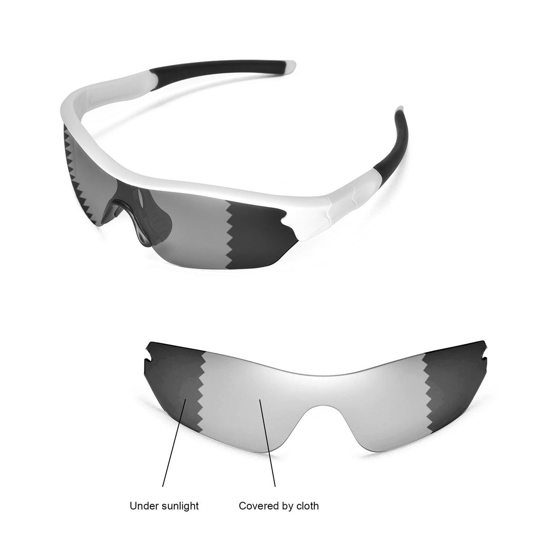 Transition Polarized