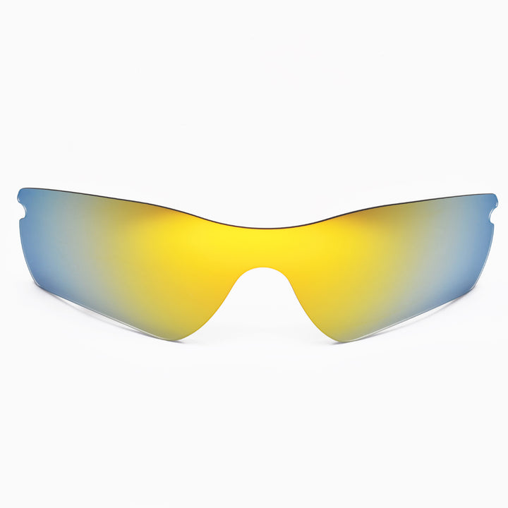 24K Gold Polarized