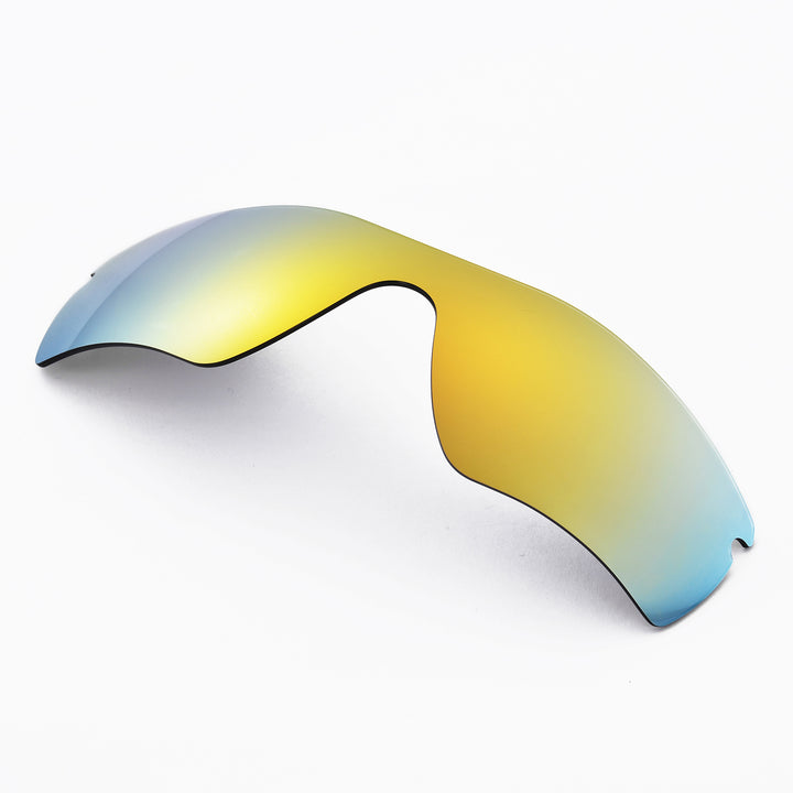 24K Gold Polarized