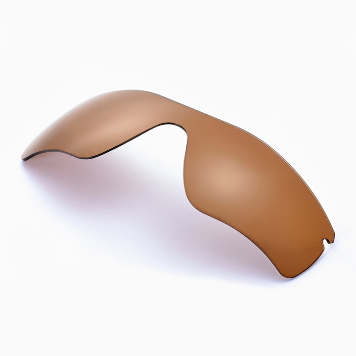 Brown Polarized