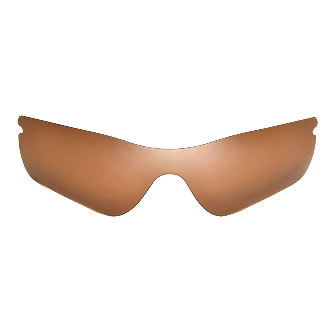 Brown Polarized