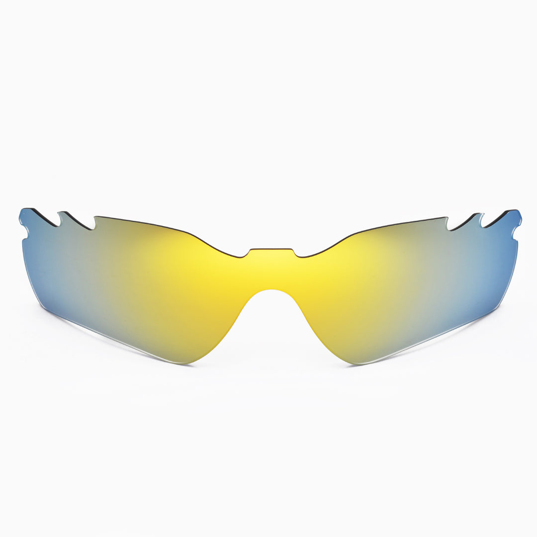 24K Gold Polarized