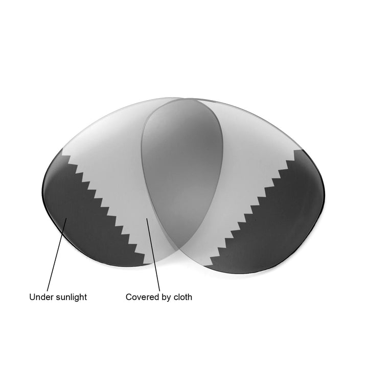 Transition Polarized