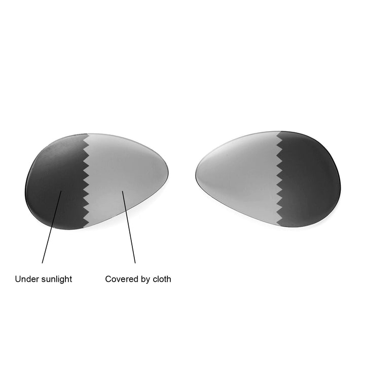 Transition Polarized