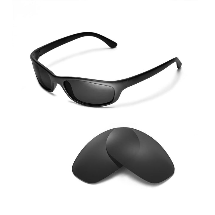 Black Polarized