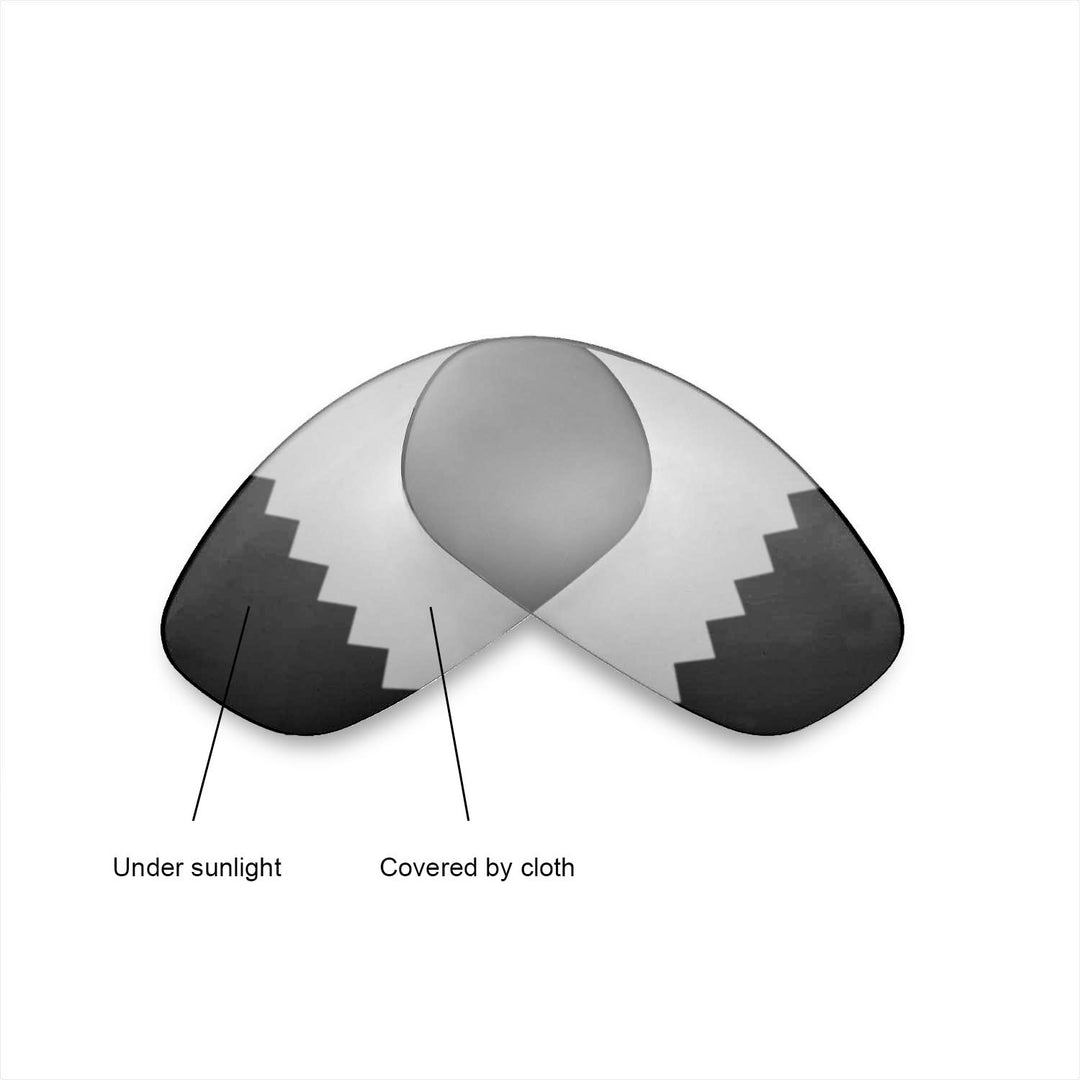 Transition Polarized