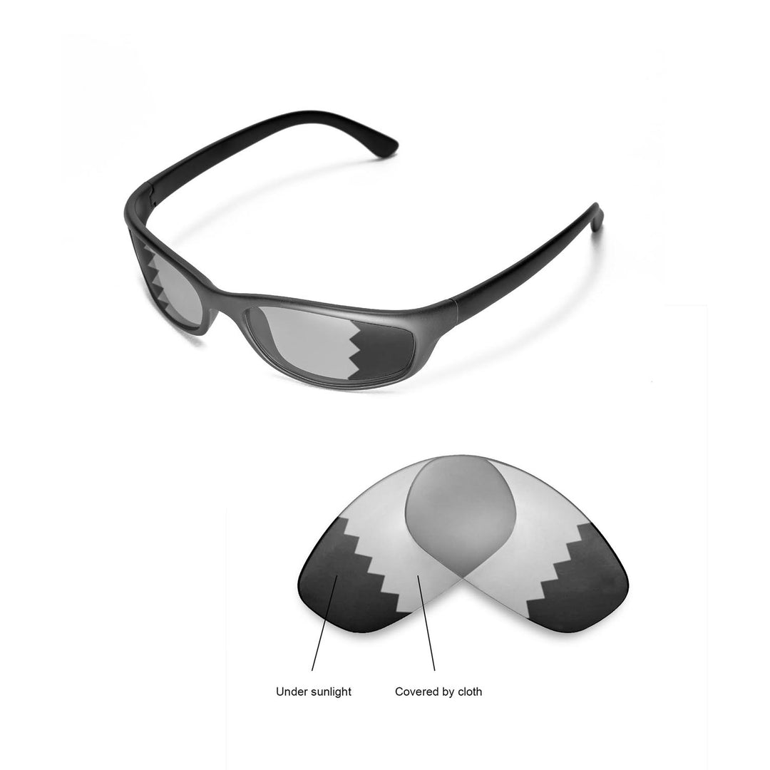 Transition Polarized