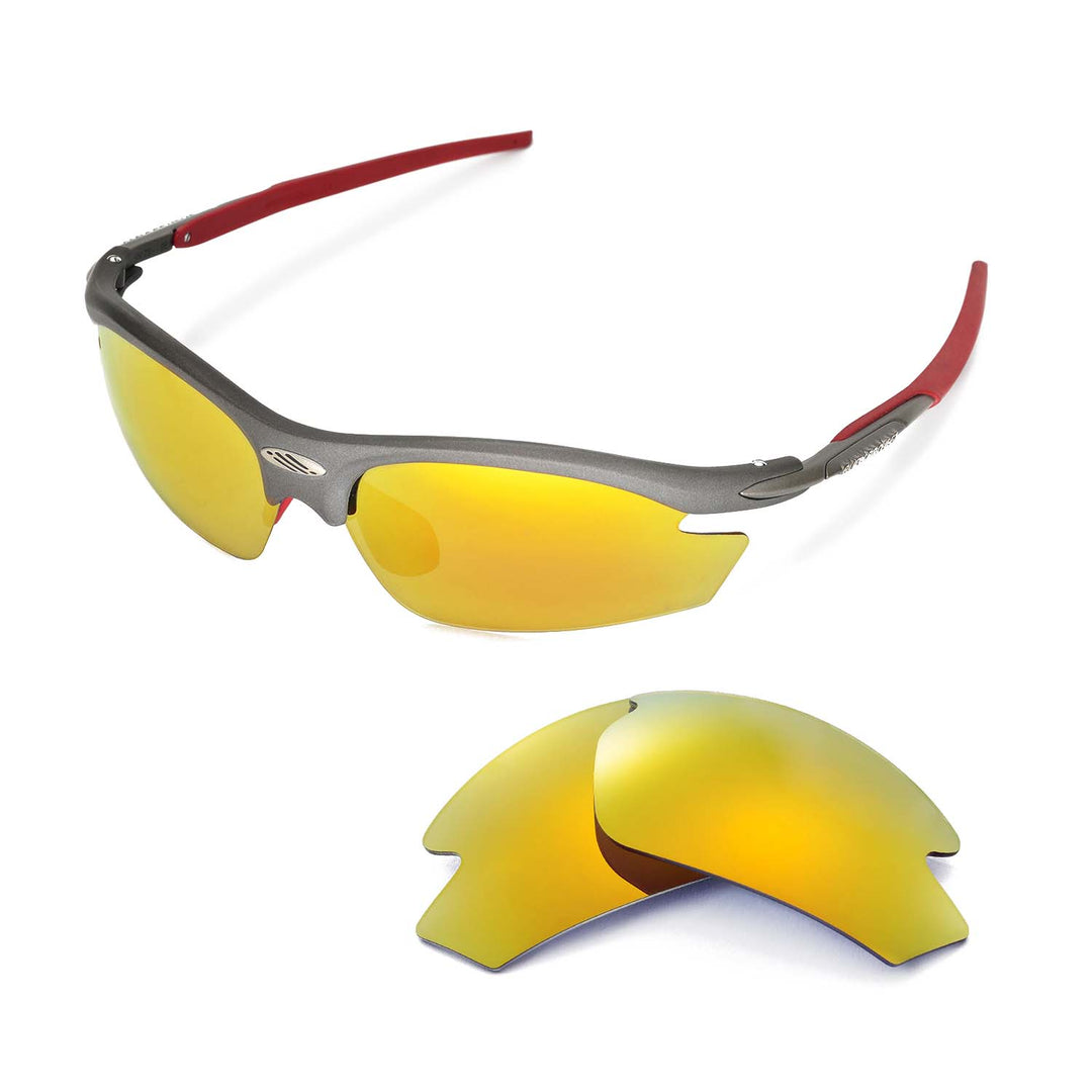 24K Gold Polarized