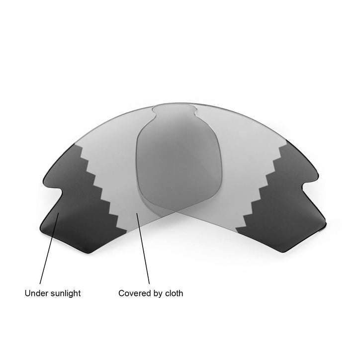 Transition Polarized