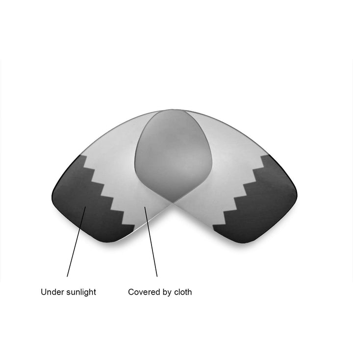 Transition Polarized