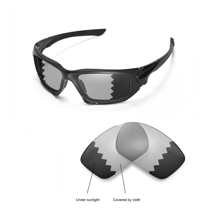 Transition Polarized