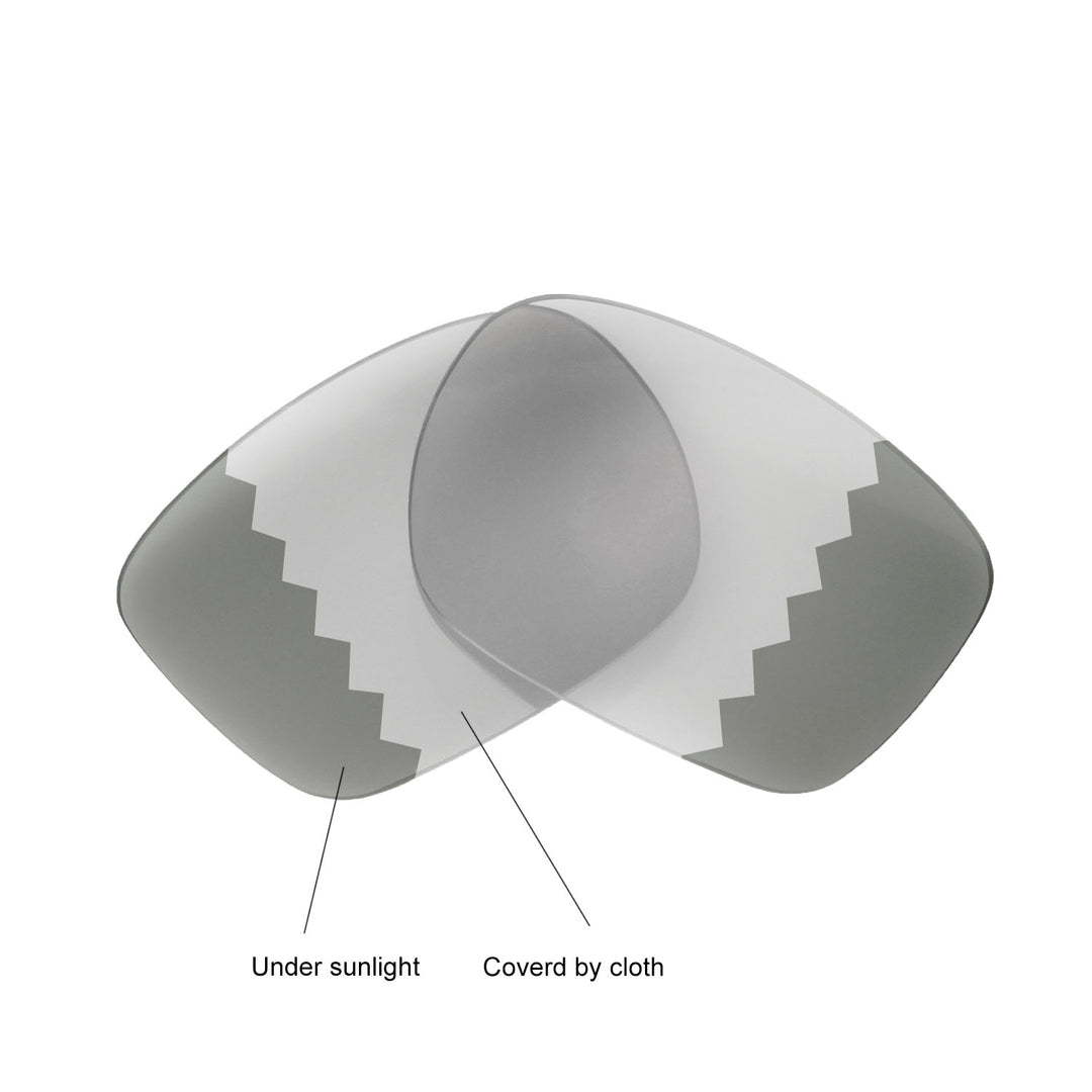 Transition Polarized