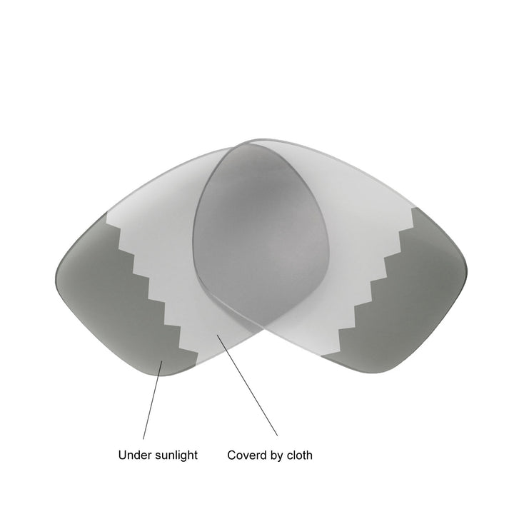 Transition Polarized