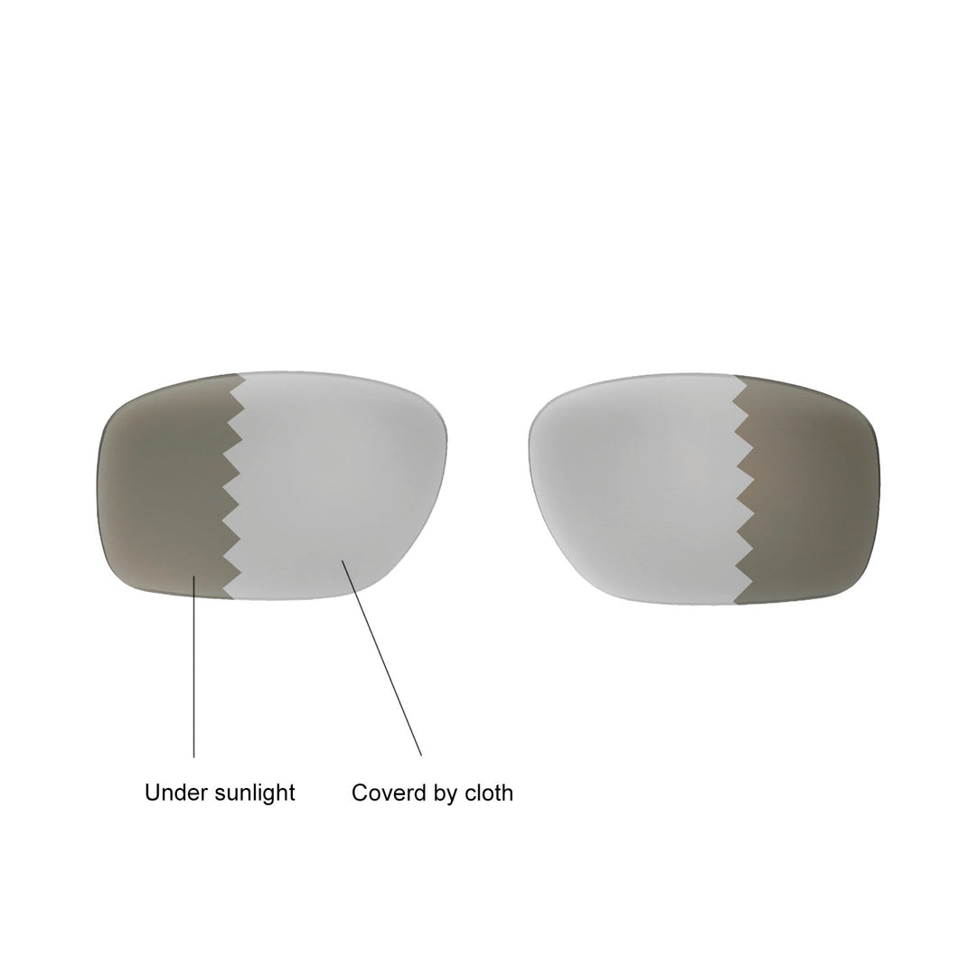 Transition Polarized