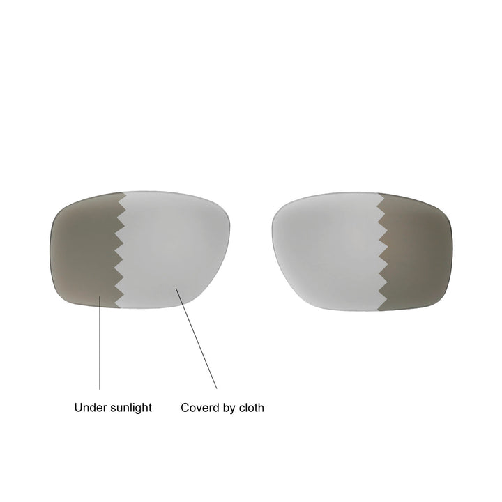 Transition Polarized
