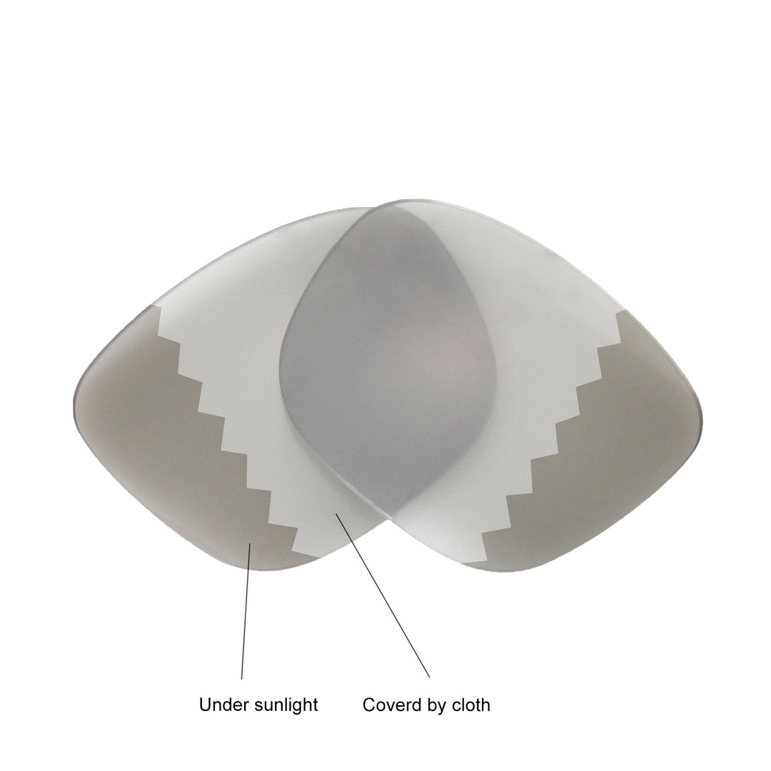 Transition Polarized
