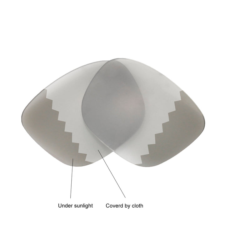 Transition Polarized