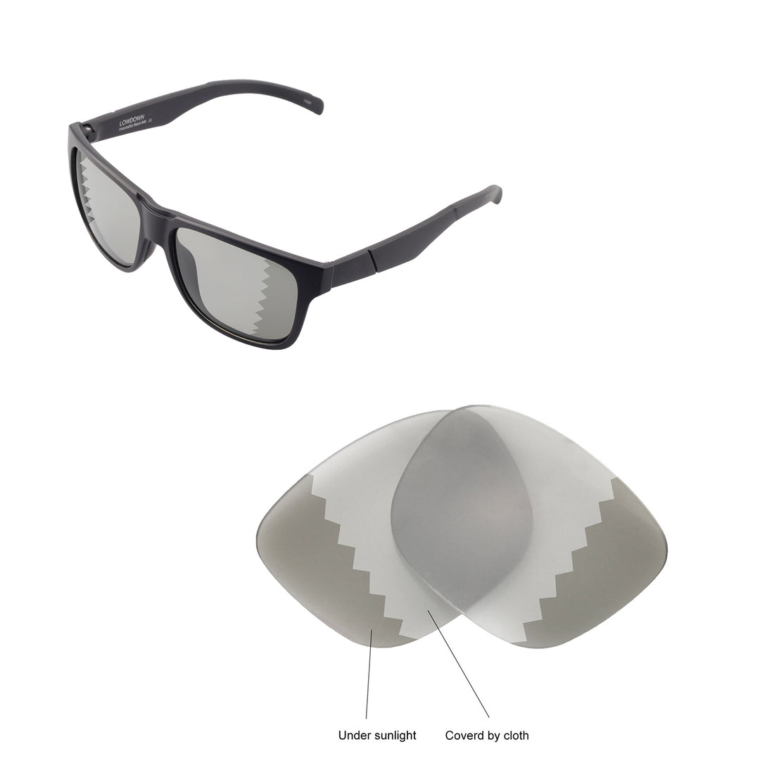 Transition Polarized
