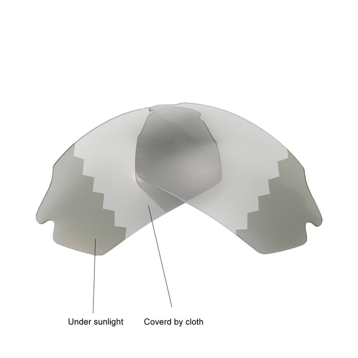Transition Polarized