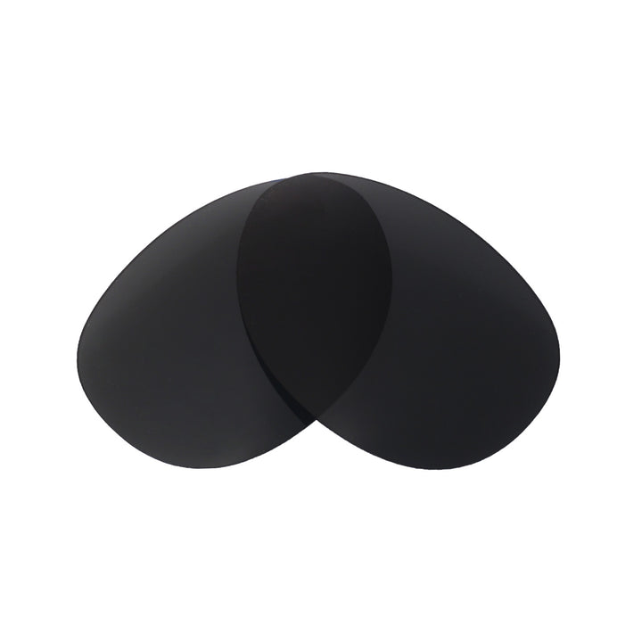 Black ISARC Polarized